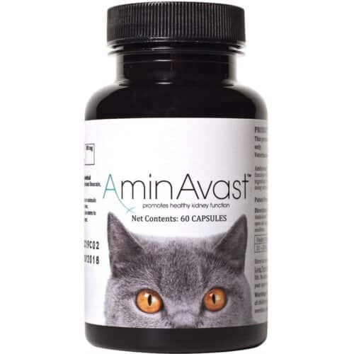 aminavast-kidney-support-for-cats-60-capsules