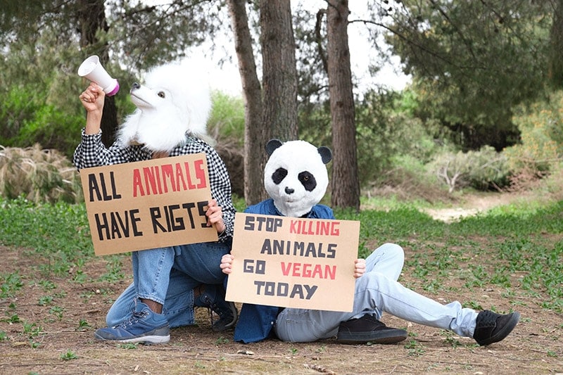 animal rights activists wearing animal masks and holding signages