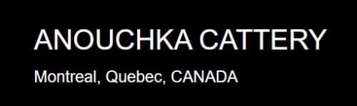 anouchka cattery logo