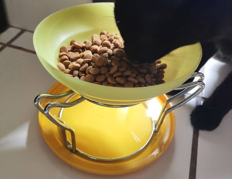 ant proof pet food bowls