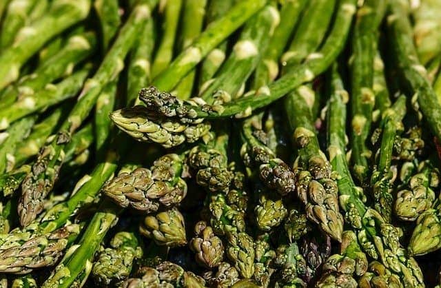 Is asparagus bad for cats sale