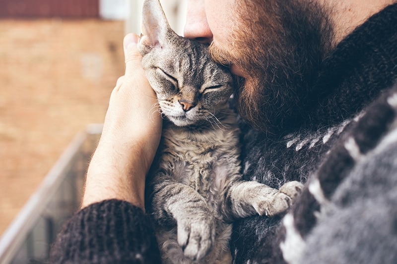 bearded man kissing a Devon Rex cat