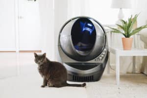 black cat beside litter robot