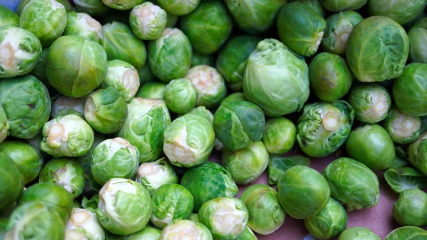 brussels-sprouts vegetable