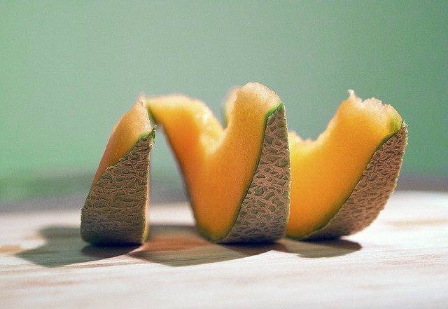 Can Cats Eat Cantaloupe