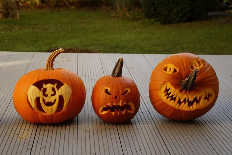 carved pumpkins for halloween