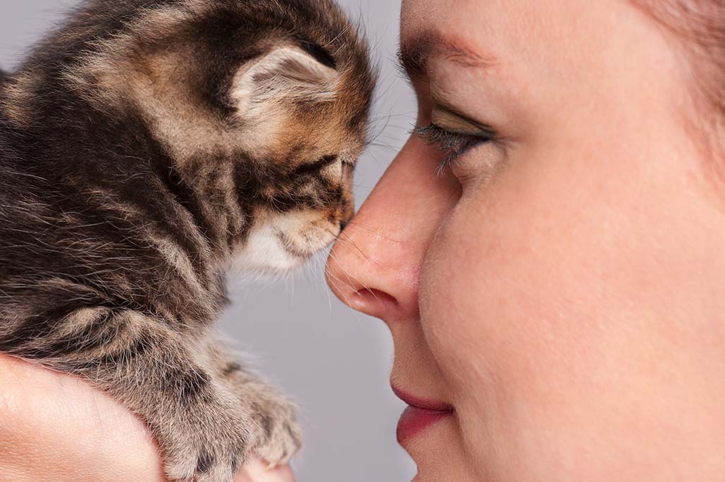 cat and woman nose to nose