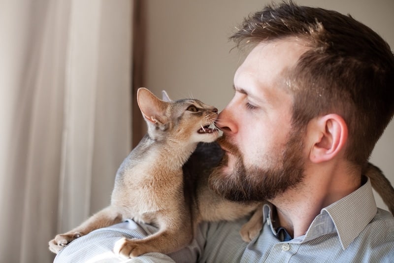 cat biting nose of a man