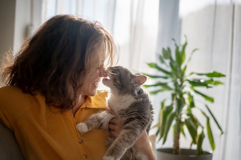 cat biting the nose of a woman