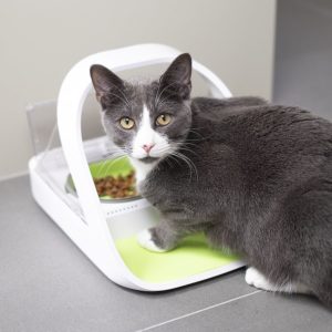 cat eating on SureFeed Microchip Pet Feeder Connect