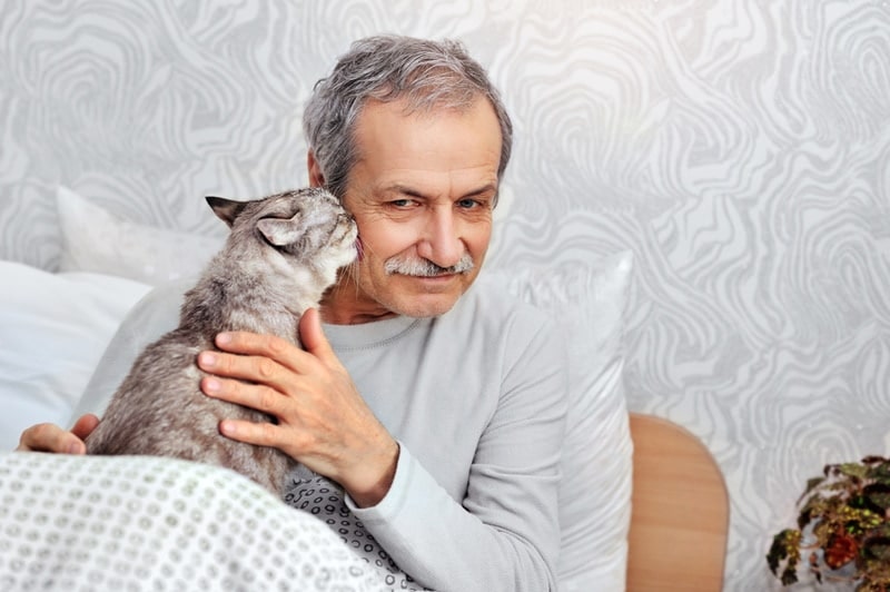 cat licking his owners face