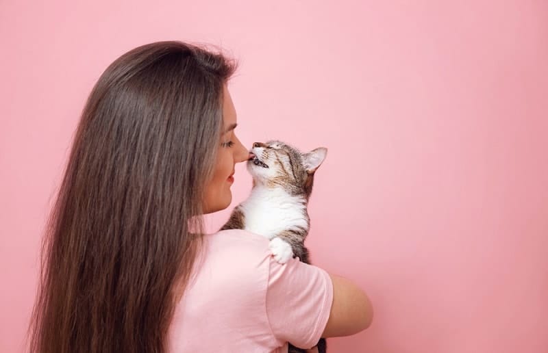 cat licks girl nose_Shutterstock_Denis Val