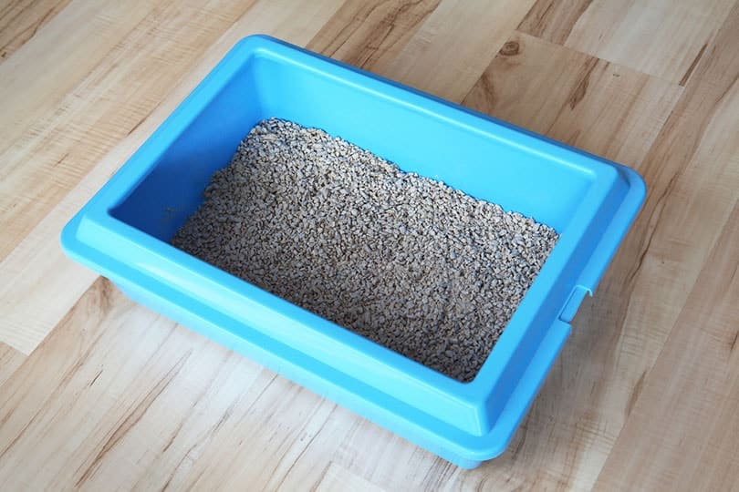 cat litter box on a wooden floor