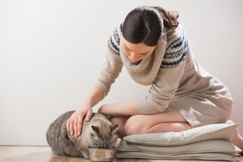 cat owner feeding her pet cat