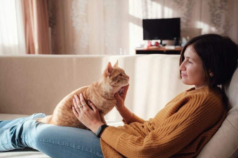cat-owner-looking-at-her-pet