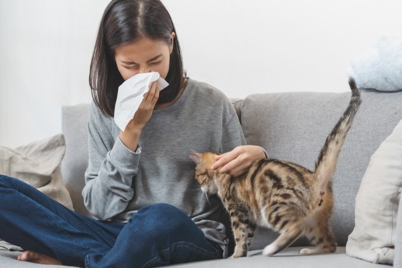 cat owner sneezing