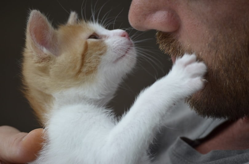 cat owner talking to his pet