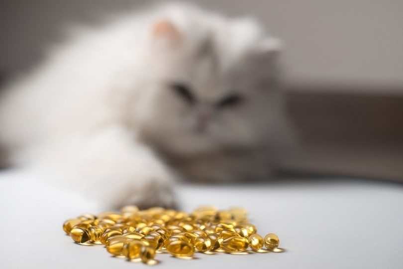 cat reaching out on fish oil capsules on table
