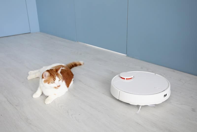 cat resting near robotic vacuum