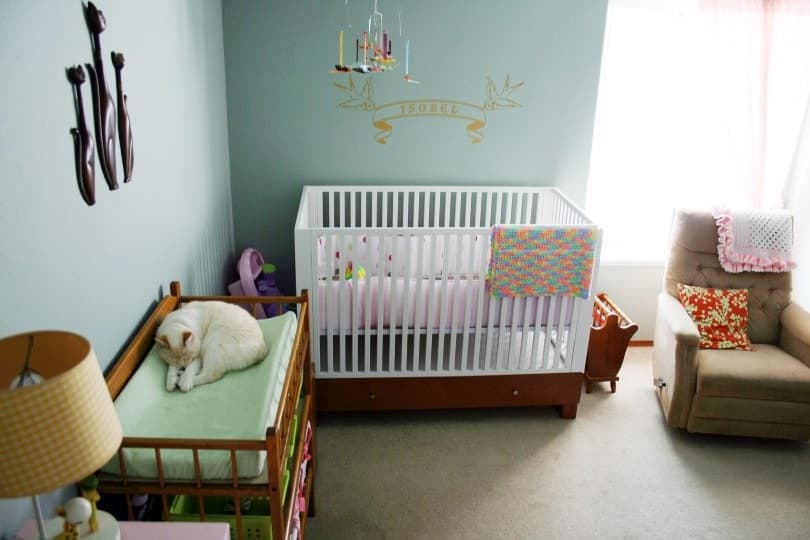 cat sleeping on a bed next to the baby crib