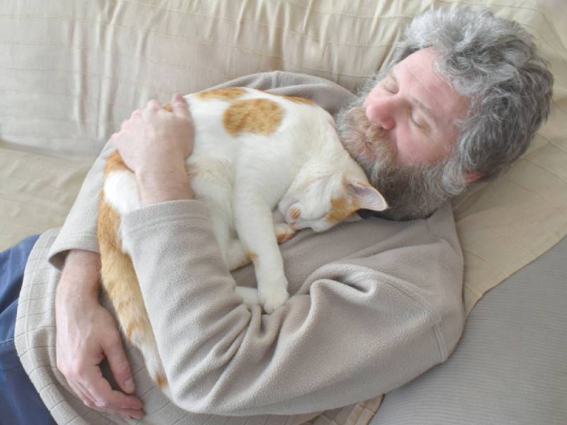 cat sleeping on its owner's chest at home