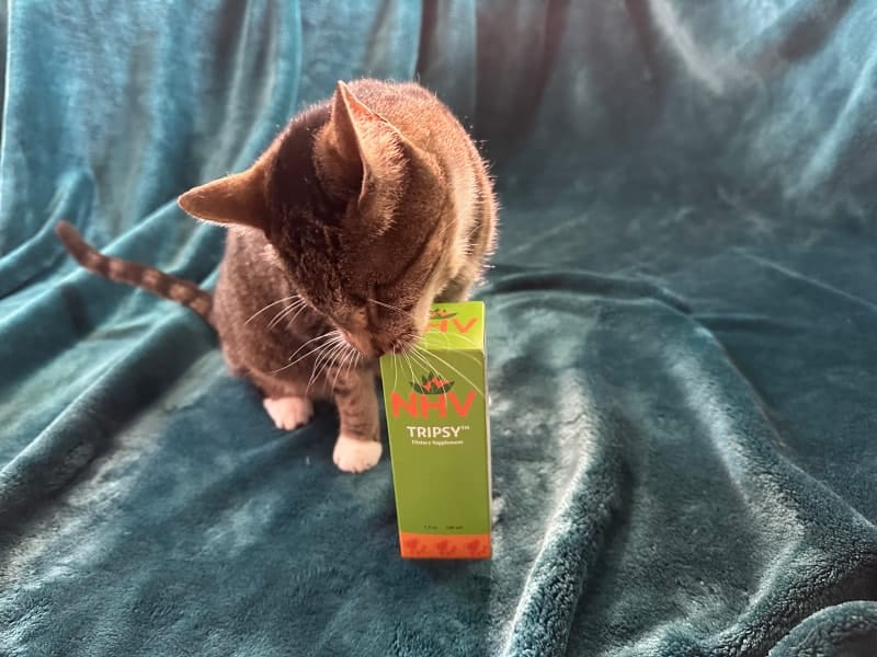 cat smelling nhv tripsy box