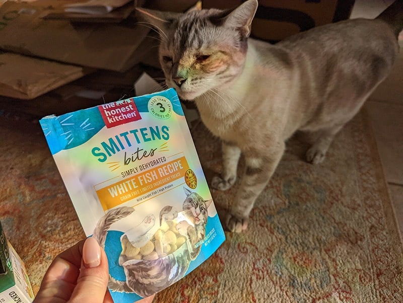 cat sniffing the smittens bites from the honest kitchen