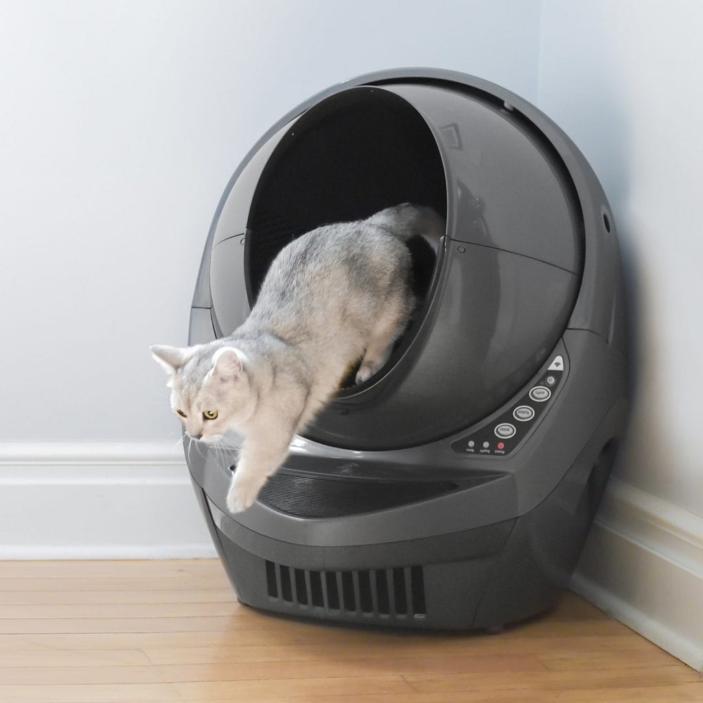 cat stepping out of Litter-Robot 3