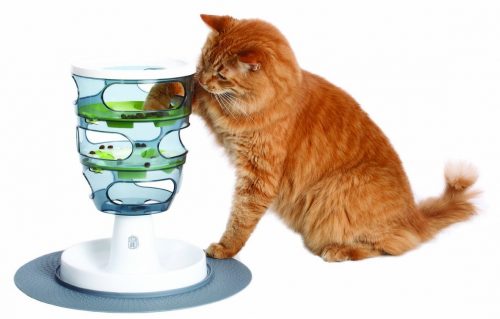 Foraging Puzzle Toys Bring out the Hunter in Your Cat - Catster