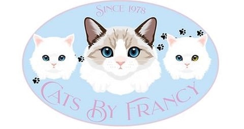 cats by francy logo