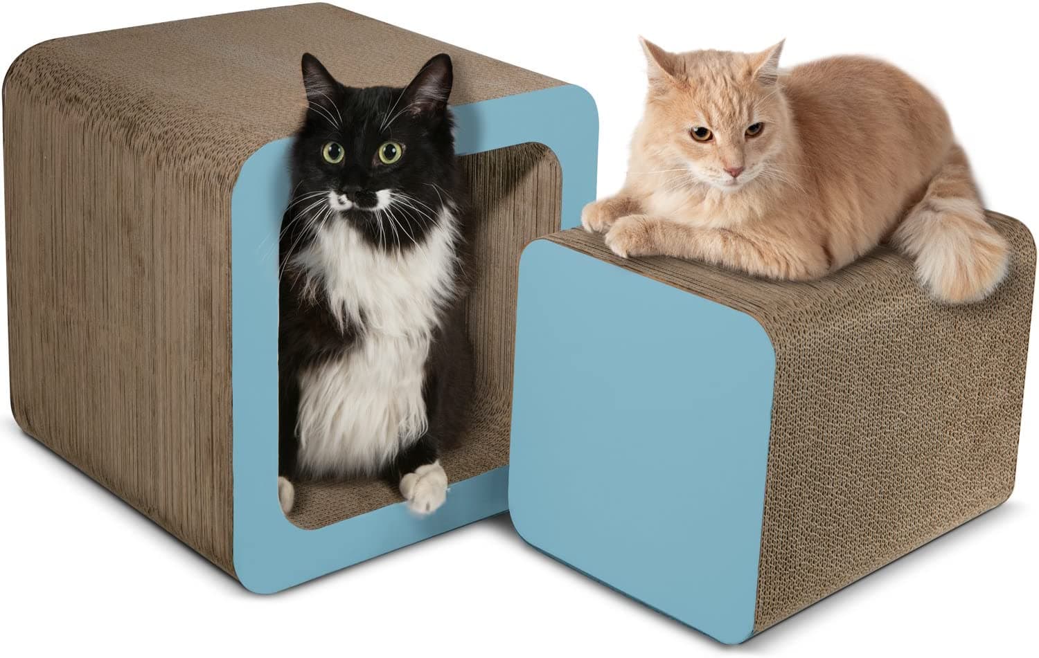 cats in Paws & Pals Square Cat Scratcher Post and Lounger
