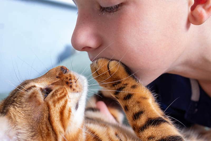 cats paw on childs face