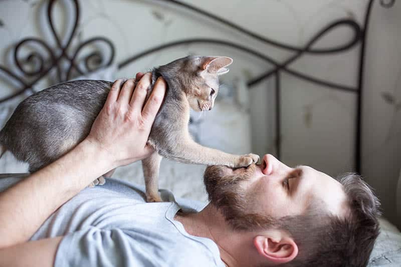 cats paw on mans face