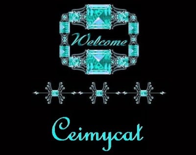 ceimycat logo