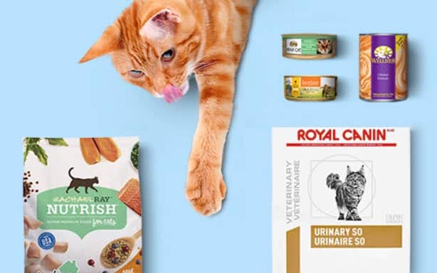 chewy cat foods