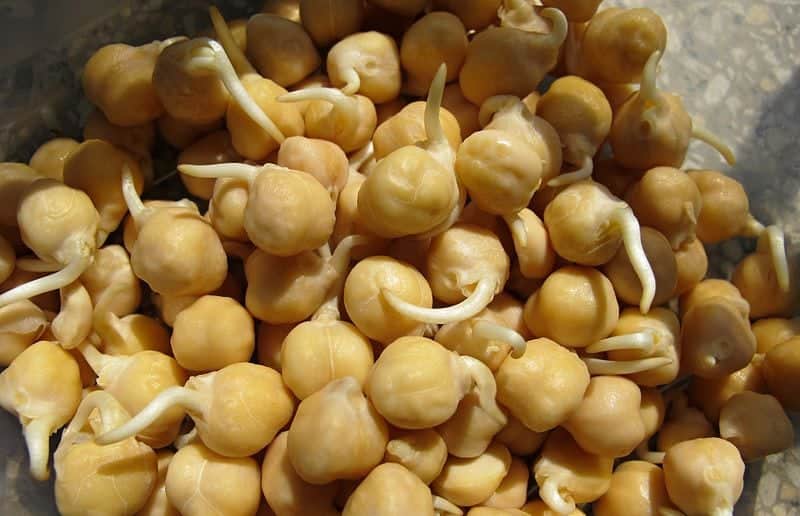 chickpeas