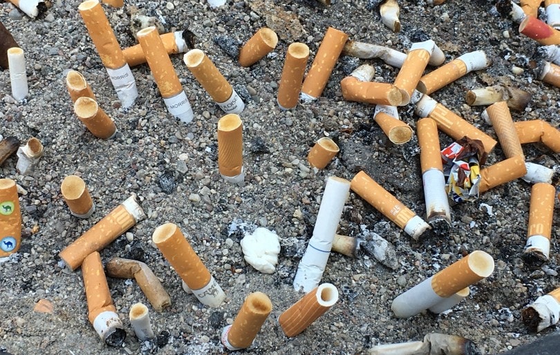 cigarette butts