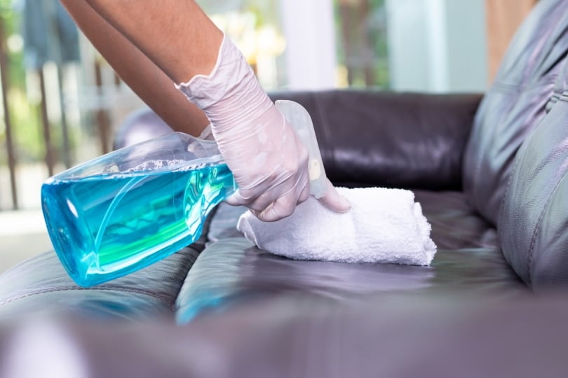 cleaning leather couch