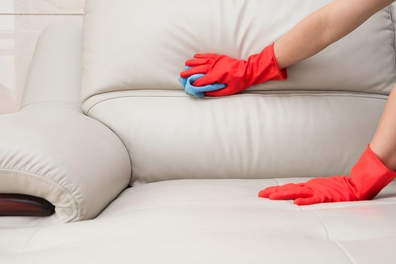 cleaning-leather-sofa-at-home_Freer_shutterstock