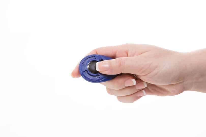 clicker for cats and dogs