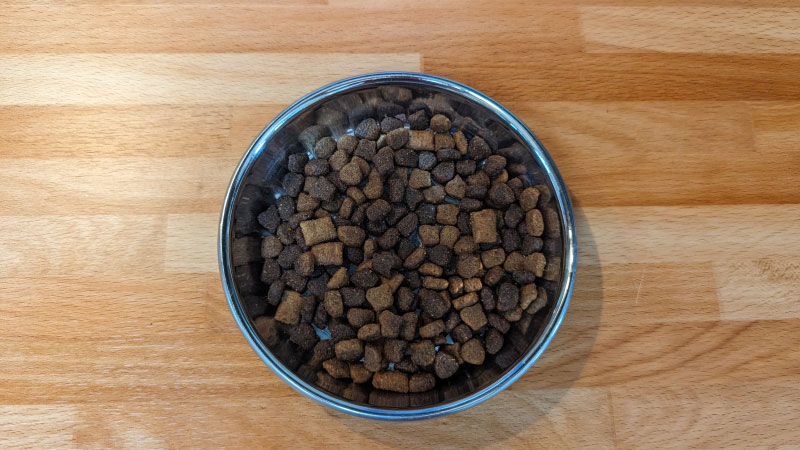 closeup of iams dry cat food in the bowl