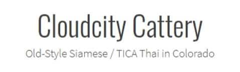 cloudcitycattery logo