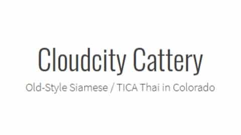 cloudcitycattery logo