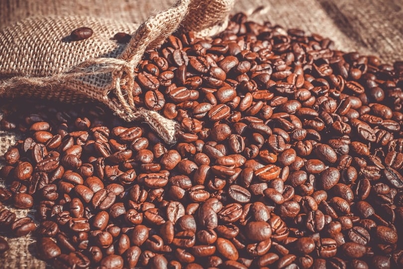 coffee beans