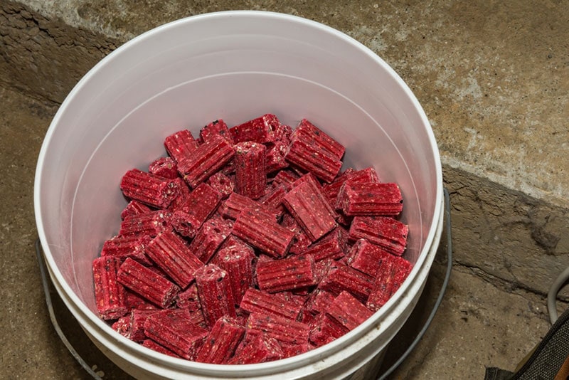 commercial rat and mouse rodenticides in a bucket