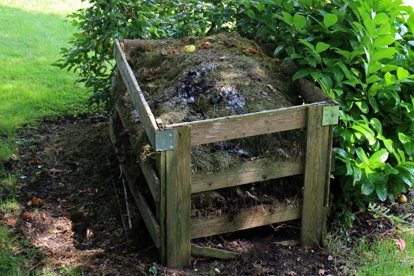 compost box filling up