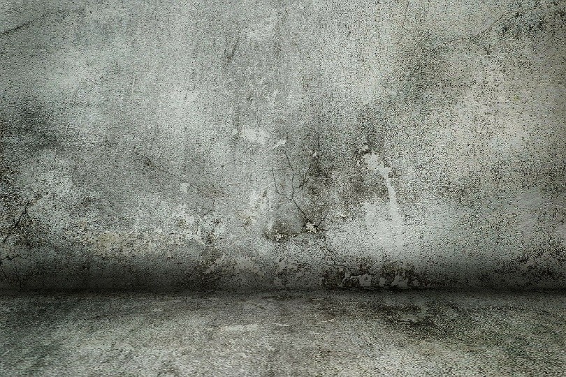 concrete wall