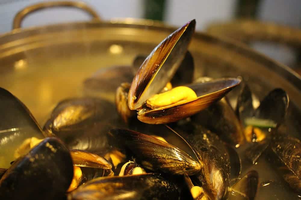 cooked mussels