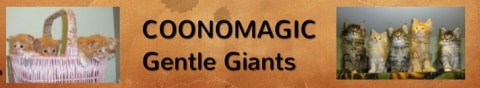 coonomagic logo