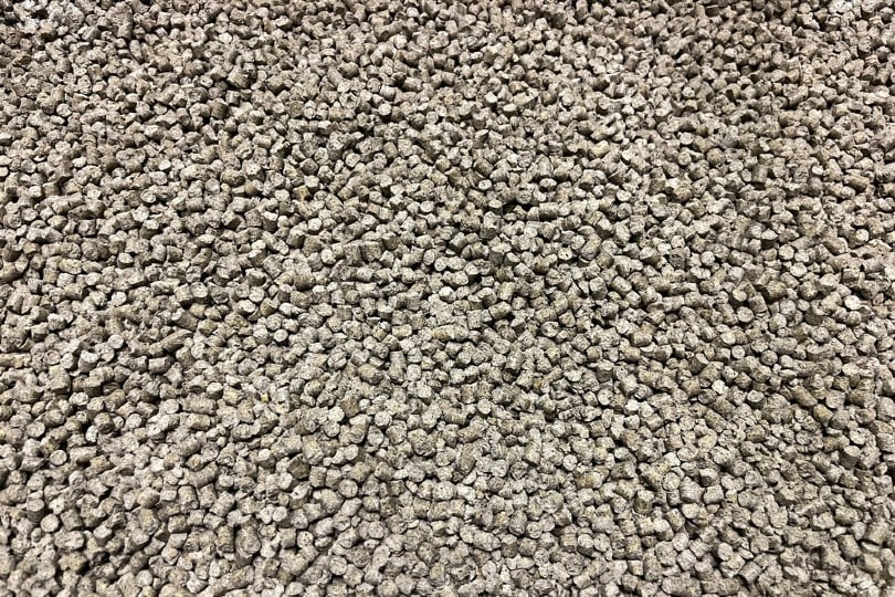 corn cat litter close up